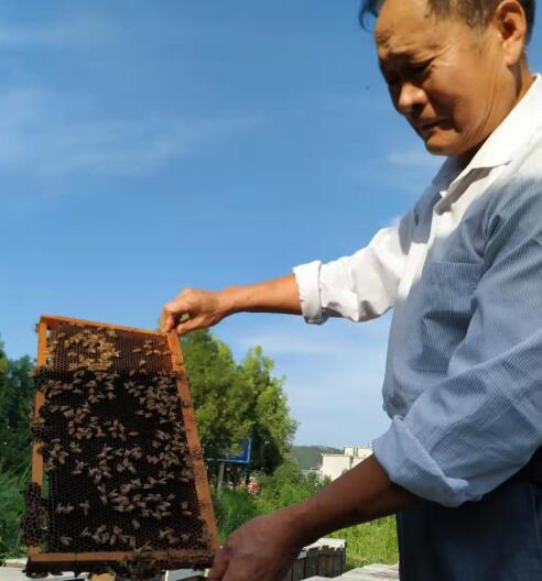 余天和 荣获由历晨网络科技主办“中医康